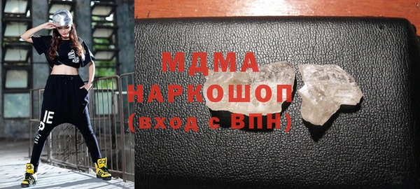 индика Бородино