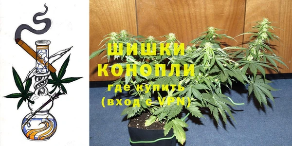 индика Бородино