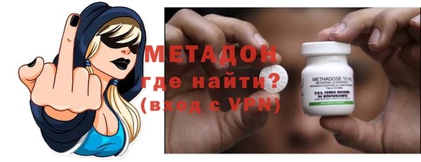 индика Бородино