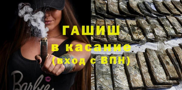 индика Бородино