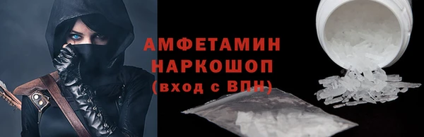 индика Бородино