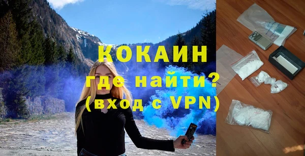 индика Бородино