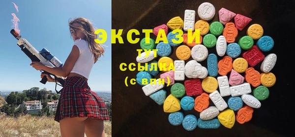 индика Бородино