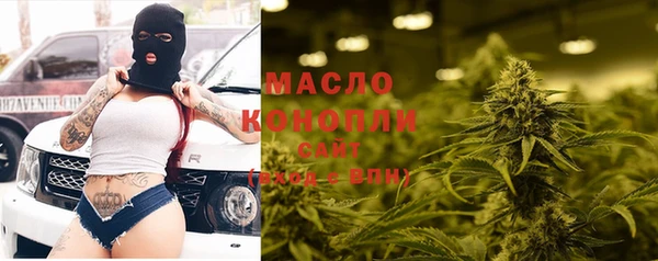 индика Бородино
