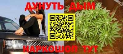 индика Абинск