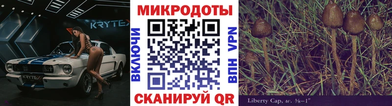 Галлюциногенные грибы прущие грибы  площадка клад  Абакан 