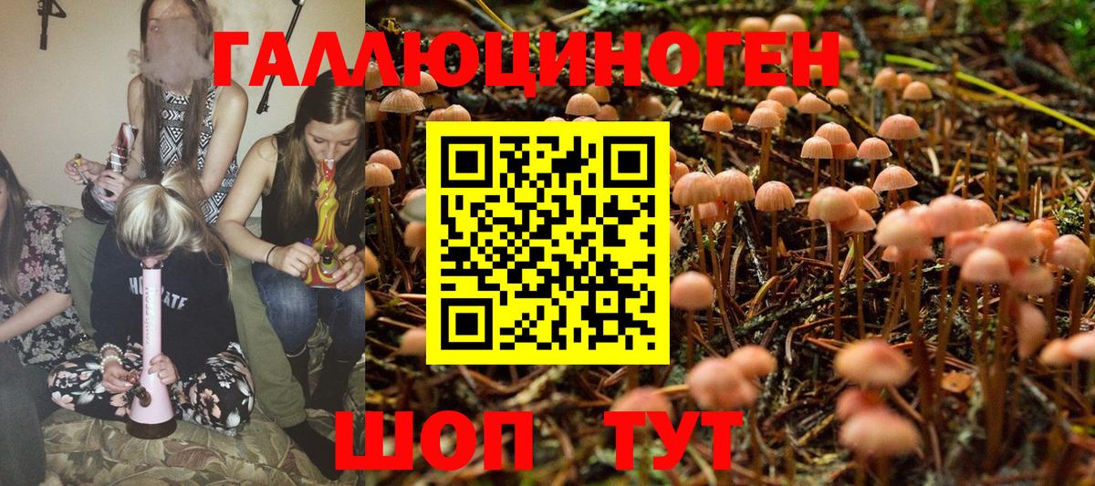 где найти   Галлюциногенные грибы ЛСД  Псилоцибиновые грибы MAGIC MUSHROOMS  Вход с VPN  Абакан 