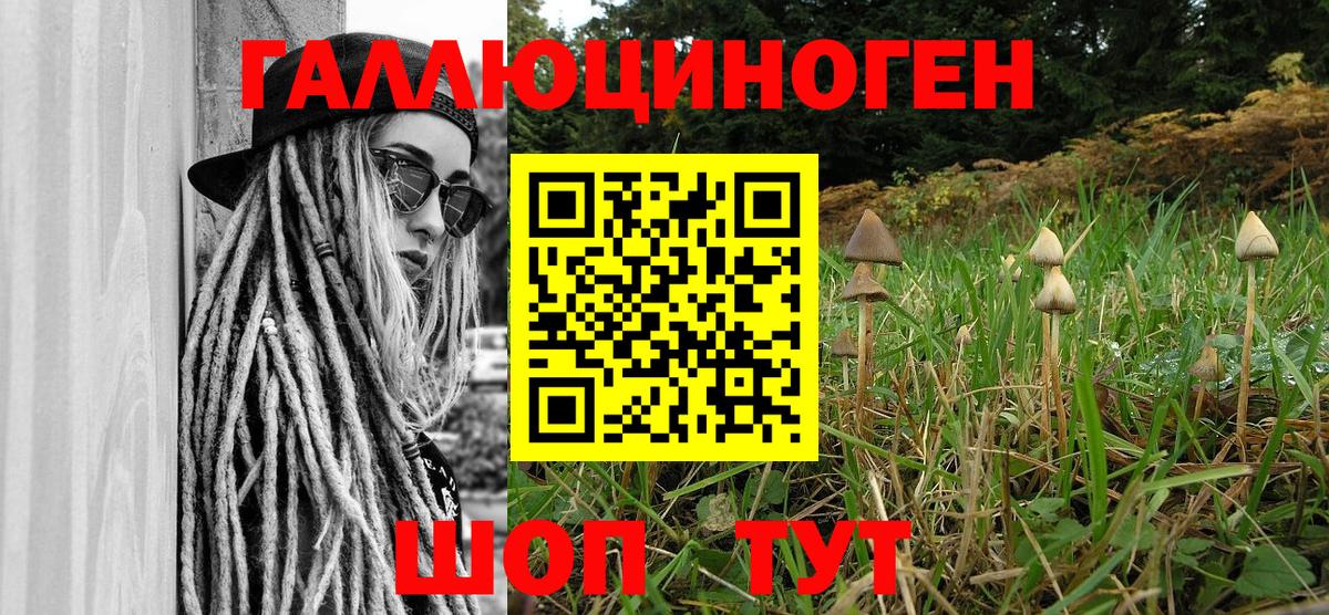 Псилоцибиновые грибы ЛСД Абакан